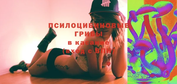 стаф Алексеевка