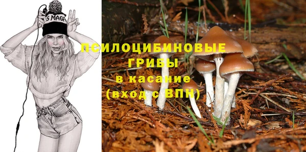 прущий лед Алзамай