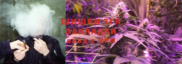индика Заволжск