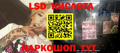 индика Бердск