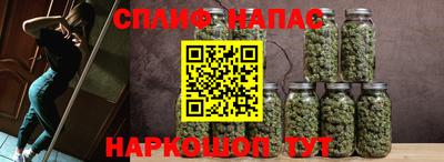 индика Бердск