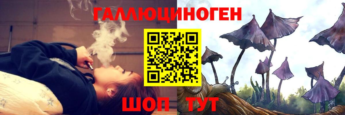 Псилоцибиновые грибы мицелий  Вход с VPN  Бийск  Псилоцибиновые грибы прущие грибы 