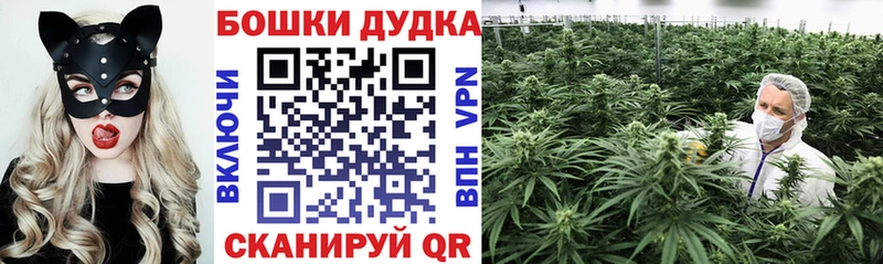 Бошки марихуана конопля  Бийск 